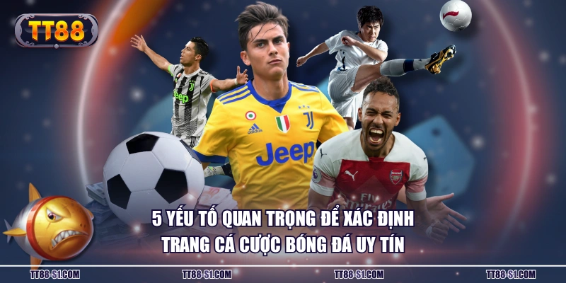 5 yếu tố quan trọng để xác định trang cá cược bóng đá uy tín